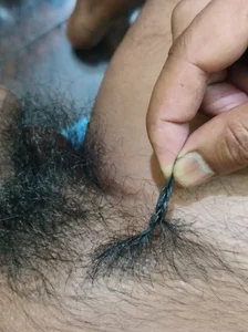 Gre3k_god pubic braids Εικόνα