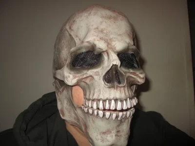 Sigorius Public Kuva 7