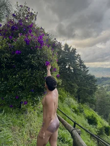 Me de simoon_01  6 Imagens