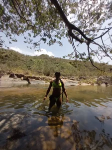 cataafitt Amazona 2 Immagine  2