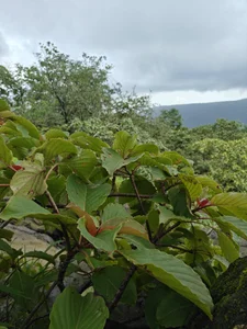 yung_cplzPublic图片 7