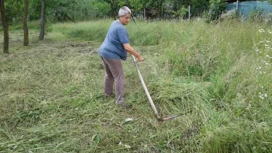 ExquisiteMature How we mow în Romania Poză 8