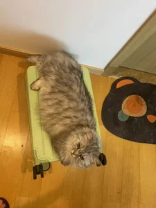 Zdjęcia Lili-2 Public:  3