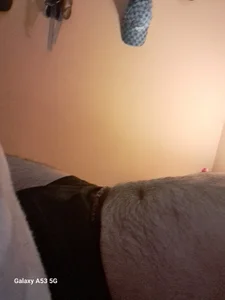 Escondido52 Pelitos Foto 8