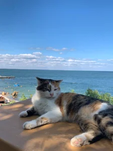 liana_kisses sunny vacation 🌊🌞 Immagine  5