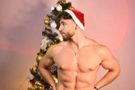 navidad de JACKSON_STIFLER  5 Imagens