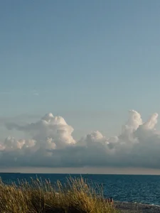 NinaNightt Life Pic 4