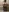 Victoria-Sun's photo