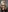 Hii_Lolla's photo