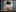 Dirty/Funny Thumbnails