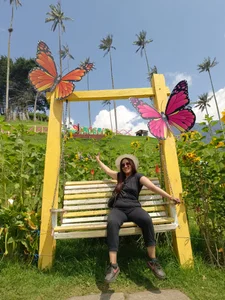 abbymoraのMy Vacations in Colombian coffee axisの 9枚の写真