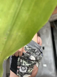 Public de KIRAMA_4U  7 photos