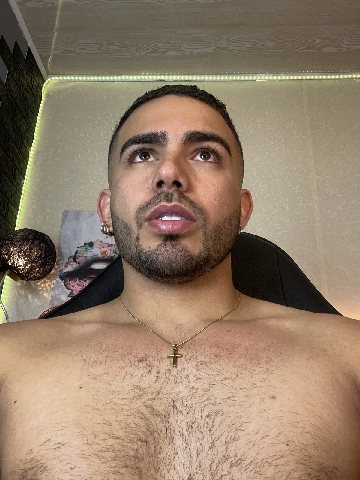adamhairy adlı kullanıcının viral fotoğrafları:  2602