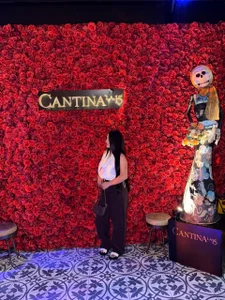 Gabby_ferrer_ A LITTLE OF ME รูป  6