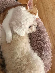 Gxhmelx-xiaoxiao 调皮捣蛋❤️ 圖片 9