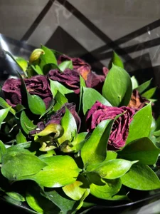 Raven06_ flowers for linda 사진 3