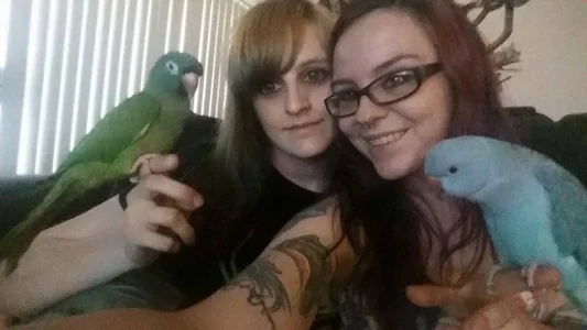 BabyZelda Public Εικόνα 7