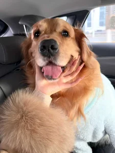 xiaoyugan_cute Public 圖片 5