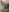 Chatte et anus rasée