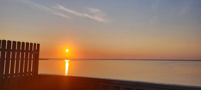 Scorpion_xx Public зображення 3