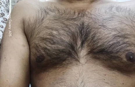 SADDLECOCK Hairy chaste зображення