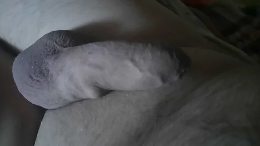 Foxyshaved Public Billede 3