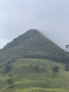 I LOVE NATURE!!🤞🏽🍃✨ this make me so happy 🫶🏾✨🍃🌻 de Amelie_Belle_  7 photos