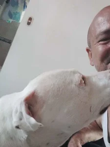 ferdinad20 Public 사진 3