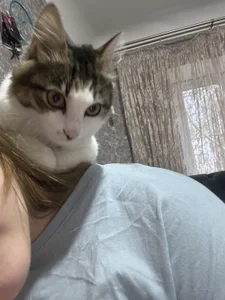 LylaYeessのMy little happiness❤️の 6枚の写真