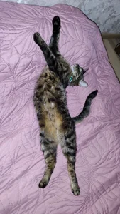 VandaRossiのMy favorite Splyushka😻 Splyushka will be glad of your financial support♥の 6枚の写真