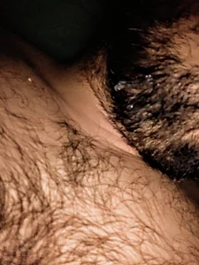big__bearrr A mischievous bear  5 снимка