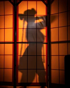 Greiz_SubKimura shades Pic