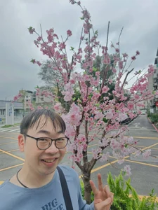 s7612 Public Bilde 4