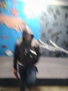 palmal3 Public Bilde 2