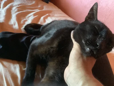 Nooneisthis Public зображення 5