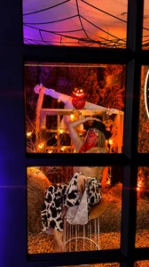 ValkaDoll🐄 Moo Mood 🥛🤠 🎃 help me reach my first 1000 likes 👩🏻‍🌾🐮🎃💀👻图片 3