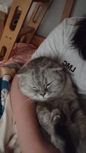 EmoAsianBoy sadlikecancer 사진 4