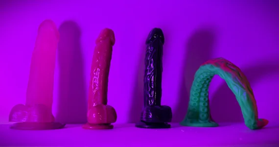 morgana_white Our fun toys Billede