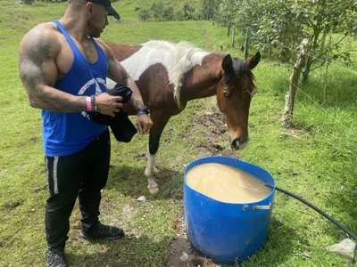 Mason_Fit_Scarlett_Fit Public Foto 4