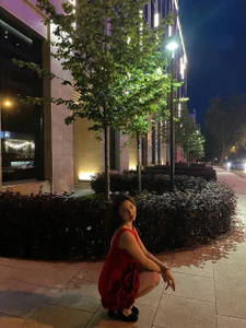 Sakuravice Public Pic 4