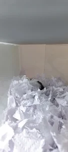 anaroman01 A house full of life and love ❤️ รูป  2