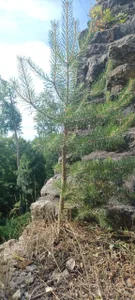 schmidtler35 Me & My & I Pic