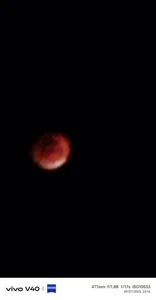 nehacplsex Public Pic 2