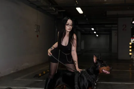 How do you like my photo? od Meow_Alika  snímek