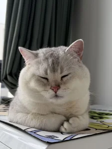 3 секс-фото momo0021 我的咪😺