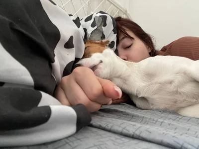 Zdjęcia Airyhill My sweet soul:  5