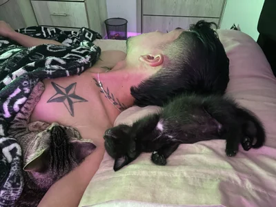 tom_Howard 🐱 사진 5