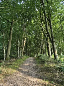 First time meeting deers🤩🥰 de Sarah-Stoner Foto 8