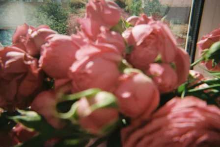 RedLipse just my life зображення 9