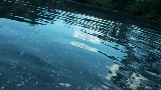 calme_odl1 Public Hình